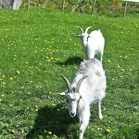 Ii * Onarheim (Tysnes)