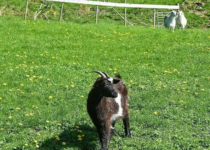 6 Person In 아파트 Onarheim (Tysnes)